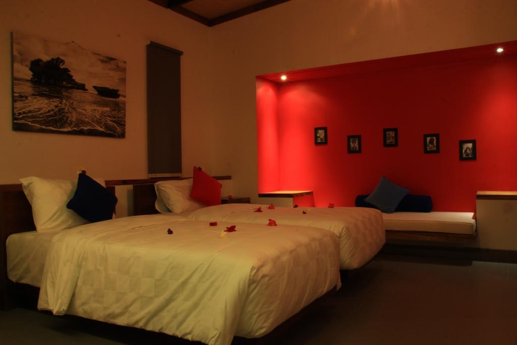 Semut Merah Sanur (Bali)