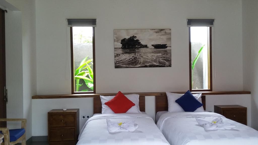 Semut Merah Sanur (Bali)