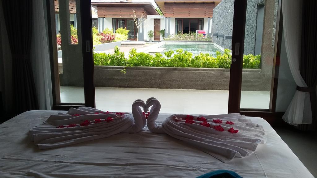 Semut Merah Sanur (Bali)