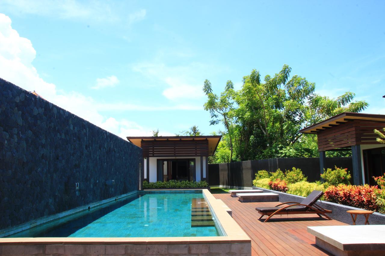 Semut Merah * Sanur (Bali)