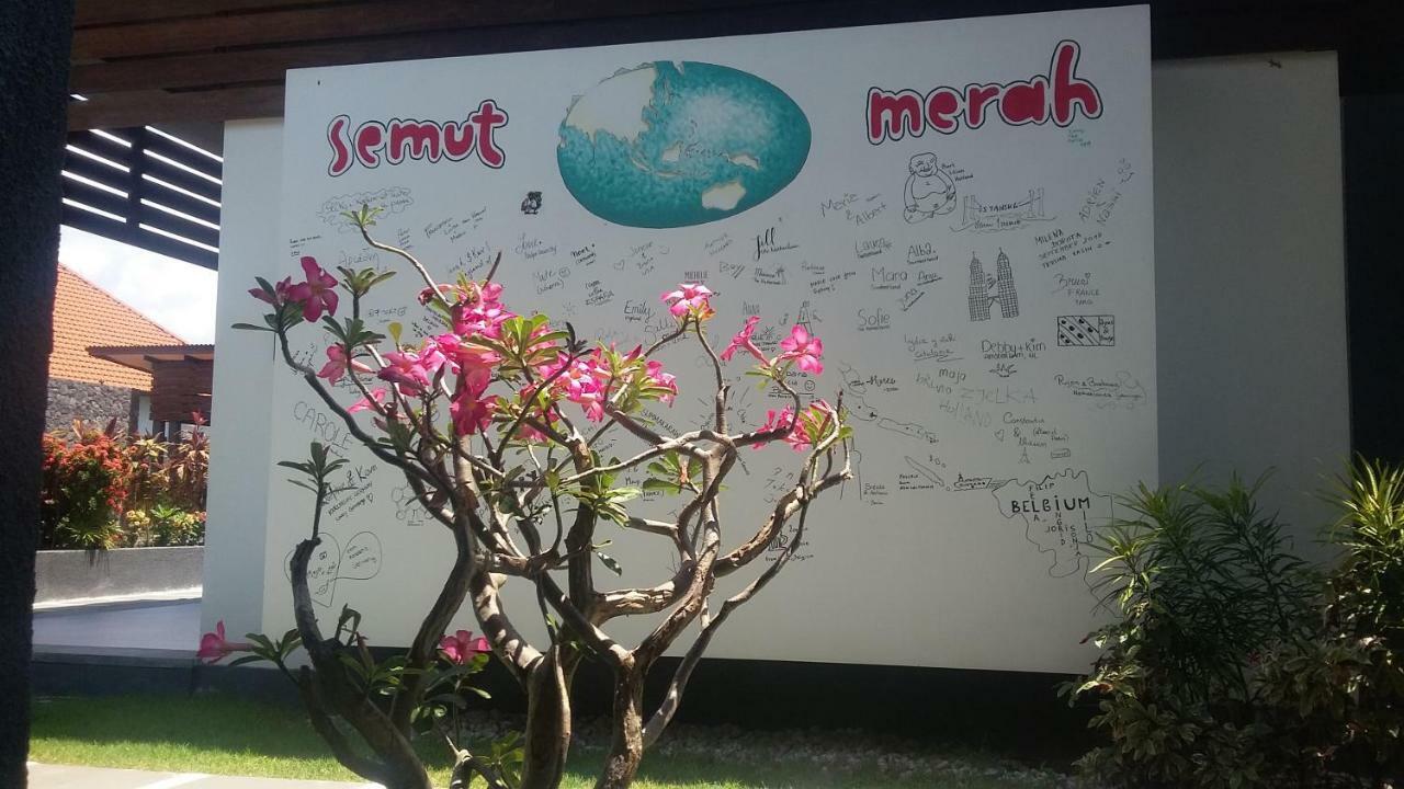 Semut Merah * Sanur (Bali)